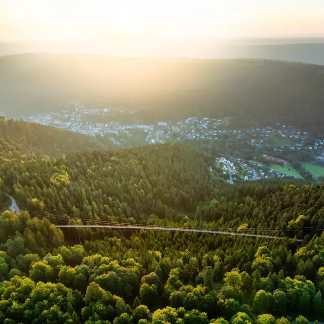Die WILDLINE ist mehr als nur eine Hängebrücke.

🫂 Sie ist ein Ort der Begegnung. 
💚 Ein Ort, an dem man den Alltag für einen Moment hinter sich lassen kann.
💪 Ein Ort, an dem man über sich hinauswächst.
🌲 Ein Ort, eingebettet in intakte Natur.
👀 Ein Ort, der neue Perspektiven eröffnet.

Spürt die besondere Atmosphäre, genießt den Ausblick und erlebt dieses einzigartige Gefühl, wenn jeder Schritt über die Brücke ein kleines Abenteuer wird.

Kommt vorbei und erlebt die WILDLINE selbst. 🌿🌉✨

Buche dein Ticket jetzt schon inline: https://wildline.de/ueber-die-bruecke/eintrittspreise-und-tickets/

#wildline #hängebrücke #naturerlebnis #perspektivwechsel #abenteuer #auszeit #visitgermany
