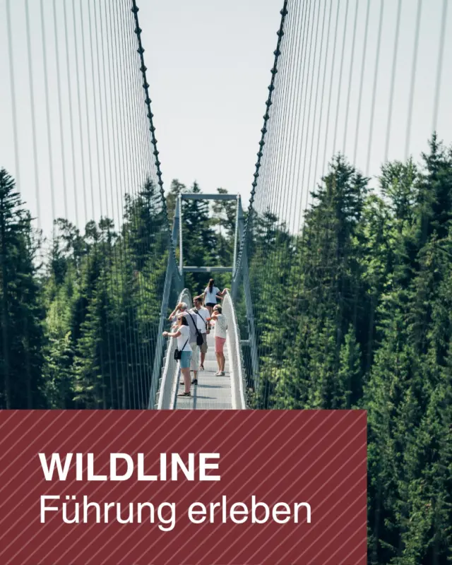 🌲 WILDLINE hautnah erleben – bei unserer geführten Tour! 🌉

Entdecke die WILDLINE aus einer ganz neuen Perspektive! Bei unserer ca. 1-stündigen Führung erfährst du spannende Hintergründe zur Entstehung, zum Bau der Brücke und viele weitere interessante Fakten.

✨ Erlebe die WILDLINE und tanke dabei jede Menge Wissen!

📅 Anmeldung erforderlich bis 16.07.2026
📧 Per E-Mail an: willkommen@wildline.de
💶 Preis: 12 € pro Person
⏱️ Dauer: ca. 1 Stunde

Sichere dir jetzt deinen Platz – wir freuen uns auf dich! 🌿

#WILDLINE #GeführteTour #Schwarzwald #Erlebnis #Hängebrücke #Ausflug #NaturErleben #WissenTanken #BadWildbad