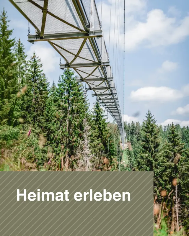 🌿 Urlaub beginnt manchmal direkt vor der Haustür. 🌉

Warum in die Ferne schweifen, wenn das Abenteuer so nah ist? Die WILDLINE Hängebrücke lädt dazu ein, die eigene Heimat mit neuen Augen zu entdecken. Genießt beeindruckende Ausblicke, erlebt die Schönheit der Natur und verbringt unvergessliche Momente mit euren Freunden und Familie.

Ob entspannter Familienausflug, gemeinsamer Spaziergang oder einfach eine kleine Auszeit vom Alltag – hier wird aus einem freien Tag ein echtes Urlaubserlebnis - Bauchkribbeln und Nervenkitzen inklusive 🌲✨

Manchmal sind die schönsten Reiseziele gar nicht weit entfernt. Also raus aus dem Alltag, rein in die Natur und die Heimat neu erleben!

Mit der Schwarzwald Plus Karte oder Heimatkarte ist der Eintritt auf die WILDLINE kostenfrei. 

💚 Wann wart ihr das letzte Mal auf Entdeckungstour direkt vor eurer Haustür?

👉👉 Sichert euch euer Ticket ganz bequem jetzt schon online: https://wildline.de/ueber-die-bruecke/eintrittspreise-und-tickets/

#WILDLINE #UrlaubZuHause #HeimatErleben #NaturGenießen #Familienausflug #Ausflugsziel #Schwarzwald #Hängebrücke #RausInDieNatur #Heimatliebe #Wochenendausflug #ZeitMitDerFamilie