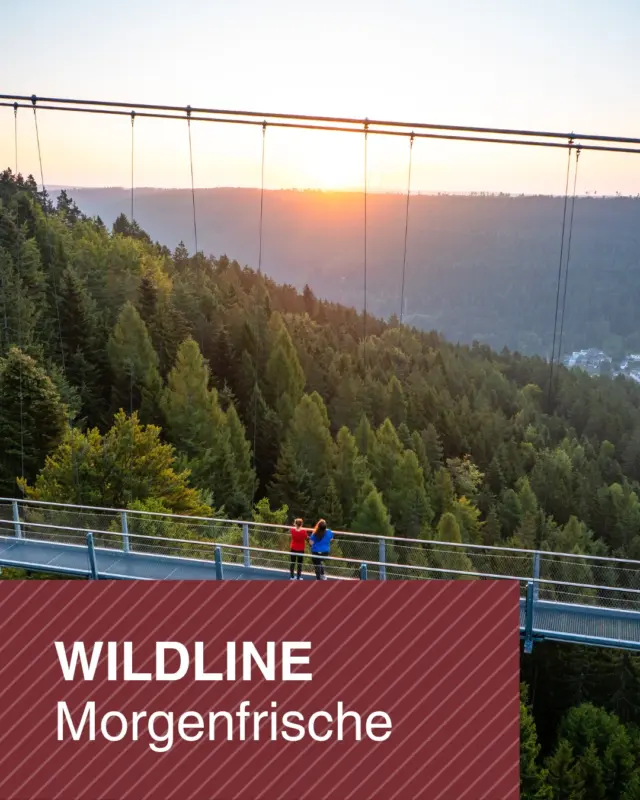 🌅 Morgenfrische auf der WILDLINE

Starte deinen Tag mit einem ganz besonderen Erlebnis! Erlebe die WILDLINE in den frühen Morgenstunden – in einer einzigartigen Atmosphäre und fast ganz für dich allein.

☕ Beginne den Morgen entspannt mit einem Kaffee und einer frischen Butterbrezel, bevor du die Hängebrücke aus einer völlig neuen Perspektive entdeckst.

🌉 Das Highlight: Bei einer geführten Tour erfährst du spannende Hintergrundgeschichten und interessante Fakten rund um die WILDLINE und ihre Entstehung.

✨ Ruhe genießen. Ausblicke erleben. Wissenswertes entdecken.

📍 Anmeldung erforderlich unter willkommen@wildline.de, Anmeldeschluss ist der 10.08.2026

🔖Preis: 15,00€ pro Person 

Wir freuen uns auf einen unvergesslichen Start in den Tag mit dir!

Weitere Informationen: https://wildline.de/events/wildline-morgenfrische-natur-und-ausblicke/

#WILDLINE #BadWildbad #Morgenfrische #Hängebrücke #Schwarzwald #Sonnenaufgang #NaturErleben #Auszeit #GeführteTour #Frühaufsteher #Erlebnis