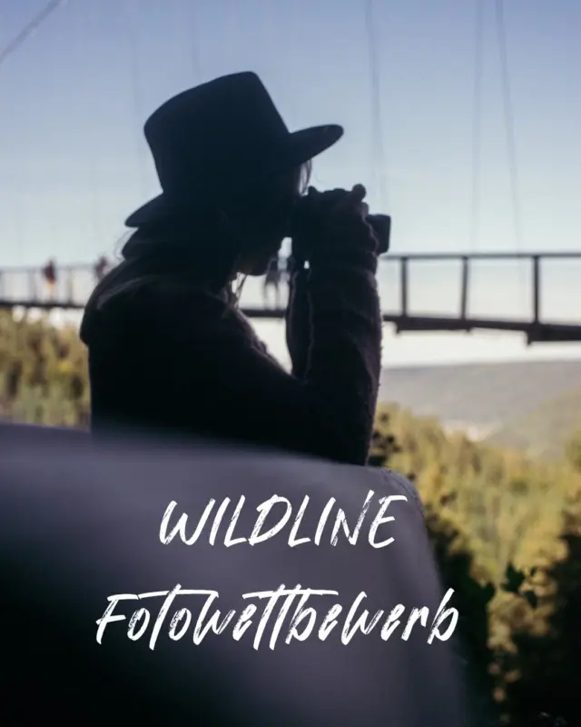 📸 WILDLINE Fotowettbewerb – Jetzt wird's spannend! 🌿

Nur noch wenige Tage bis Ende Juli – und damit bis zur Kür unseres Siegerfotos! 🏆

Jetzt bist du dran: Schick uns dein Lieblingsbild und mach mit! Egal ob kreativ, lustig, liebevoll, alleine, mit Freunden oder mit der Familie – wir freuen uns auf jede Einsendung. ❤️

Am Monatsende wird das Gewinnerfoto ausgewählt. Auf den Sieger oder die Siegerin warten tolle Preise! 🎁

📩 Also nichts wie los – sende uns dein Bild und sichere dir deine Chance auf den Gewinn!

Wir freuen uns auf eure großartigen Fotos! 📷✨

#WILDLINE #Fotowettbewerb #Mitmachen #FotoChallenge #SommerMomente #Gewinnspiel #Kreativität #Familie #Freunde #Natur #Fotografie