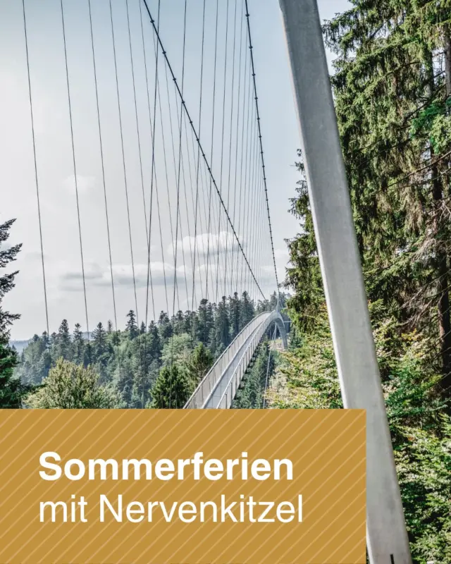 ☀️ Noch keine Idee für die Sommerferien?

Wie wäre es mit 380 Metern Abenteuer hoch über dem Schwarzwald? 🌉🌲

Auf der WILDLINE erwarten dich beeindruckende Ausblicke, einzigartige Fotospots und das besondere Kribbeln, wenn du die Brücke betrittst.

Egal ob Urlaub im Schwarzwald oder Tagesausflug mit der Familie: Dieses Erlebnis solltest du dir nicht entgehen lassen.

Von hier oben eröffnen sich Perspektiven, die man vom Boden aus nie zu sehen bekommt. 📸✨

👇 Verrate uns in den Kommentaren: Wen würdest du auf die WILDLINE mitnehmen?

📍 Bad Wildbad, Schwarzwald

👉 Tipp: um Wartezeiten zu vermeiden, kannst du dein Ticket bereits online buchen: https://wildline.de/ueber-die-bruecke/eintrittspreise-und-tickets/

📸 Bild 1: Alexander Schwarz
📸 Bild 2 & 3: Alex Kijak 
📸 Bild 4: Nico Pudimat

#wildline #badwildbad #schwarzwald #sommerferien #ausflugsziel #hängebrücke #erlebnis #familienausflug #visitblackforest #nordschwarzwald #abenteuer #heimaturlaub