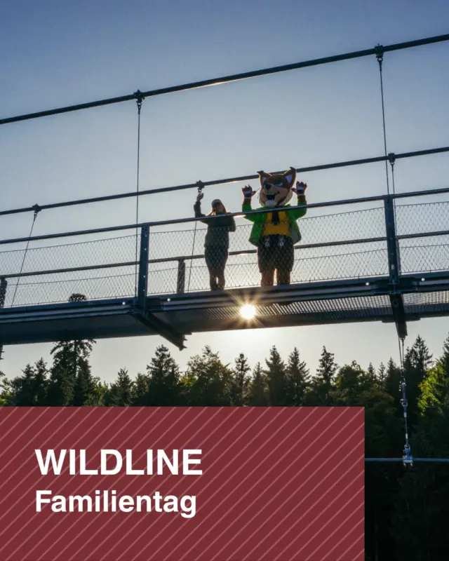 🎉 Familientag auf der WILDLINE 🎉

Am Samstag, den 12. September 2026, wird die WILDLINE zum Erlebnisort für die ganze Familie!

🌲 Entdeckt mit dem Waldmobil die spannende Welt des Waldes und erlebt Natur mit allen Sinnen.

🐑 Lernt die Schafe von Tobis Schafzucht kennen und gestaltet kreative Bastelarbeiten aus Wolle.

🦊 Haltet Ausschau nach unserem Maskottchen Lenny Luchs, der den ganzen Tag unterwegs ist und sich auf viele gemeinsame Fotos freut.

🌉 Natürlich darf auch das Abenteuer nicht fehlen: Spaziert über die WILDLINE, genießt die atemberaubende Aussicht und erlebt das unvergleichliche Gefühl, über dem Tal zu schweben.

📅 12.09.2026 🕚 11:00 bis 16:00 Uhr 📍 WILDLINE Bad Wildbad

Kommt vorbei, erlebt einen Tag voller Natur, Spaß und Abenteuer und schafft gemeinsam unvergessliche Erinnerungen.

💚 Wir freuen uns auf euch!

#WILDLINE #BadWildbad #Familientag #Schwarzwald #AusflugMitKindern #Familienzeit #NaturErleben #LennyLuchs #SommerImSchwarzwald #ErlebnisFürDieGanzeFamilie