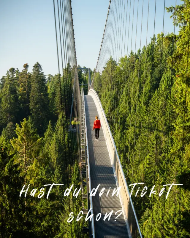 🌲✨ WILDLINE erleben

Spüre den Wind im Gesicht. Genieße die einzigartige Aussicht über die Baumkronen. Fühle das Kribbeln, wenn Du Schritt für Schritt über die Brücke gehst.

Die Sommerferien sind die perfekte Zeit für Dein persönliches WILDLINE-Erlebnis. Ob mit Familie, Freunden oder einfach für einen besonderen Moment nur für Dich – auf der WILDLINE erwarten Dich unvergessliche Eindrücke.

💡 Unser Tipp: Komm früh am Morgen vorbei und genieße die Brücke in einer ganz besonderen Atmosphäre, wenn noch wenig Betrieb herrscht.

🎟️ Sichere Dir Dein Ticket bequem online und starte entspannt in Deinen Ausflug.
https://wildline.de/ueber-die-bruecke/eintrittspreise-und-tickets/

#WILDLINE #BadWildbad #Schwarzwald #Sommerferien #Ausflugstipp #NaturErleben #AussichtGenießen #ErlebnisSchwarzwald
