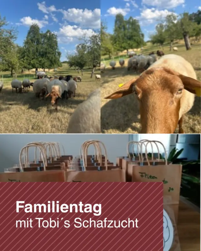 🐑 Familien aufgepasst! 🐑

Am 12.09.2026 lädt die WILDLINE Hängebrücke von 11:00 bis 16:00 Uhr zum großen Familientag ein!

Freut euch auf einen spannenden Tag mit @tobis_schafzucht , der seine Schafe mitbringt und den Kindern jede Menge Wissenswertes über die Tiere erzählt. Außerdem warten kreative Bastelaktionen mit Wolle auf kleine und große Besucher.

Natürlich darf auch das Highlight des Tages nicht fehlen: 🌉 Die Überquerung der WILDLINE Hängebrücke mit einzigartigen Ausblicken über den Schwarzwald.

Ein Tag zum Staunen, Entdecken und Mitmachen für die ganze Familie!

Für eine kleine Pause zwischendurch gibt es im Besucherzentrum kühle Getränke und leckeres Eis.

Wir freuen uns auf viele Familien, neugierige Kinder und einen erlebnisreichen Tag mit euch!

📸 Tobias Mühlthaler 

#WILDLINE #Familientag #Schwarzwald #AusflugMitKindern #Familienzeit #Schafe #NaturErleben #BadWildbad #TiereErleben #Kinderprogramm #NaturPur
