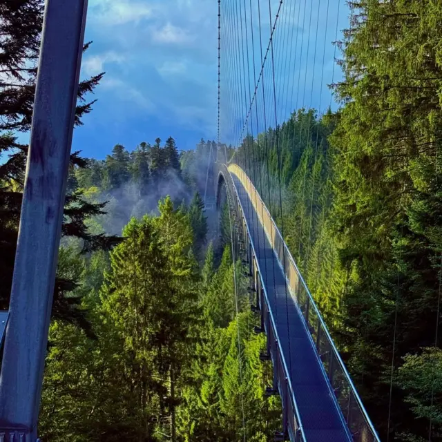 🍃☀️ September auf der WILDLINE ☀️🍃

Der September gehört zu den schönsten Monaten im Schwarzwald. Die heißen Sommertage liegen langsam hinter uns, die Temperaturen werden angenehmer und die Natur zeigt sich in einem ganz besonderen Licht. Morgens sorgen stimmungsvolle Sonnenaufgänge für magische Momente, während sich zwischen den grünen Baumkronen bereits die ersten warmen Herbstfarben zeigen.

Jetzt ist die perfekte Zeit, um draußen unterwegs zu sein und die Schönheit des Schwarzwaldes zu genießen. 🌿

Verbindet eure Wanderung mit einem besonderen Abenteuer und entdeckt den Wald aus einer völlig neuen Perspektive. Auf der WILDLINE geht es hoch hinaus: Über den Bäumen des Nordschwarzwaldes eröffnet sich ein einzigartiger Blick auf die Landschaft, die sich langsam vom Sommer in den Herbst verabschiedet.

🌳 Natur genießen
 🌉 Abenteuer erleben
 🥾 Wandertouren mit besonderen Ausblicken verbinden
 ☀️ Die angenehmen Spätsommertage auskosten
 📸 Unvergessliche Erinnerungen schaffen

Der September lädt dazu ein, noch einmal richtig durchzuatmen, Sonne zu tanken und die ersten Zeichen des Herbstes zu entdecken. Wir freuen uns auf euren Besuch auf der WILDLINE!

#WILDLINE #Schwarzwald #September #Spätsommer #NaturErleben #Wanderlust #Ausflugstipp #Hängebrücke #RausInDieNatur #Schwarzwaldliebe #Abenteuer #WandernImSchwarzwald #HerbstImAnflug 🍃✨