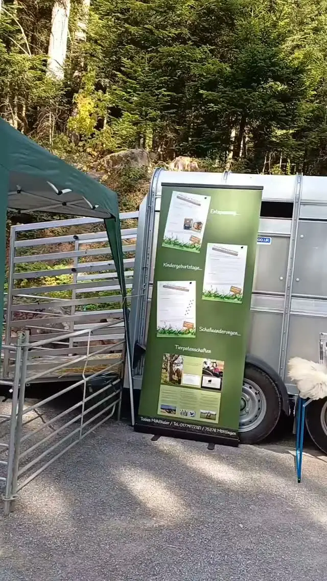 Wir schauen glücklich zurück auf unseren Familientag am vergangenen Samstag! 

Bei bestem Wetter waren zahlreiche Besucher unterwegs und konnten ein abwechslungsreiches Programm erleben🌲

Die drei Schafe von @tobis_schafzucht erfreuten sich großer Beliebtheit und ließen sich streicheln. Kleine und große Gäste konnten dabei viel wissenswertes erfahren. 🐑

Auch das Waldmobil der Schutzgemeinschaft Deutscher Wald e.V. war ein Highlight.  Hier konnte man vieles über die heimischen Tiere lernen und entdecken. 🦊🦌

Ein wundervoller Tag für Familien und Gäste jeden Alters, ein Ort für gemeinsame Erlebnisse und Erinnerungen! 

#familienausflug #wildline #Ausflug #schwarzwald #erlebnisse