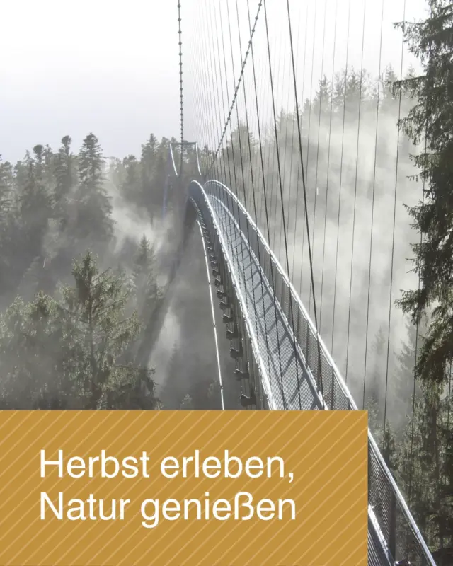 🍂✨ Der Herbst ist da! ✨🍂

Wenn sich die Blätter langsam bunt färben und die klare Herbstluft zum Durchatmen einlädt, ist die perfekte Zeit für einen Ausflug in die Natur gekommen.

Erlebe den Schwarzwald aus einer ganz besonderen Perspektive: Hoch über den Baumwipfeln eröffnet sich auf der WILDLINE ein beeindruckender Blick auf die herbstlichen Wälder. Goldene Farben, weite Ausblicke und das Gefühl von Freiheit machen jeden Besuch zu einem kleinen Abenteuer.

Lass den Alltag hinter Dir, spüre die Natur und genieße die schönsten Seiten des Herbstes von oben. 🌲🍁

📍 WILDLINE Hängebrücke Bad Wildbad 🍂 Natur erleben 🌉 Abenteuer spüren 📸 Erinnerungen sammeln

Der Herbst wartet. Das musst Du erleben.

#wildline #badwildbad #schwarzwald #herbst #herbstbeginn #ausflugstipp #naturerleben #hängebrücke #abenteuer #familienausflug #rausindienatur #herbstfarben #visitblackforest #dasmusstduerleben