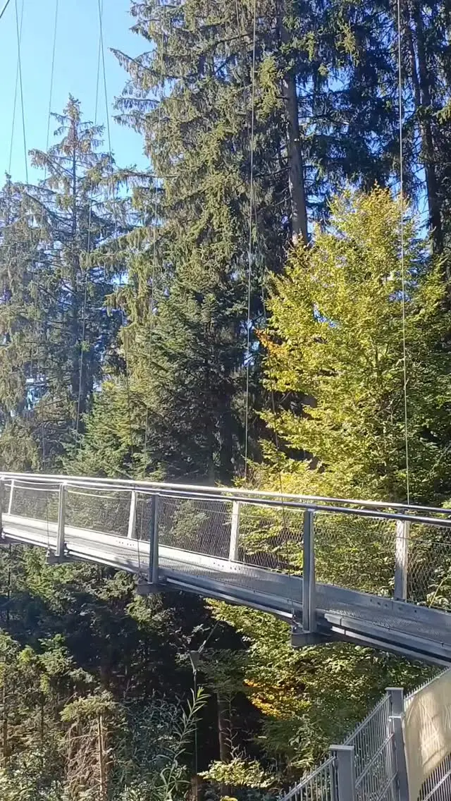 Der Spätsommer gibt noch mal alles. ☀️☀️ 

Sonne satt auf der WILDLINE! 

Erlebe den Nordschwarzwald aus neuen Persepktiven. Spüre das Kribbeln im Bauch, wenn die Brücke unter deinen Füßen leicht schwankt. 

Lass dich vom Ausblick verzaubern und genieße die Natur um dich herum! 🌲

Ein Ausflug, der noch lange in Erinnerung bleibt! 

Das musst du erleben! ☀️🌲🥾

#wildline #spätsommer #ausflug #hängebrücke #erlebnis