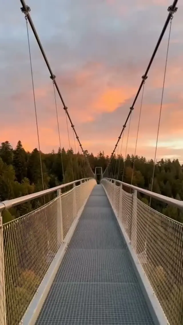 Wundervoller Sonnenaufgang auf der WILDLINE ☀️ 

Wenn die Natur in den schönsten Farben malt. Ein Moment voller Ruhe. Einfach mal stehen bleiben und genießen. 

#wildline #sonnenaufgang☀️ #badwildbad #moment #naturelovers