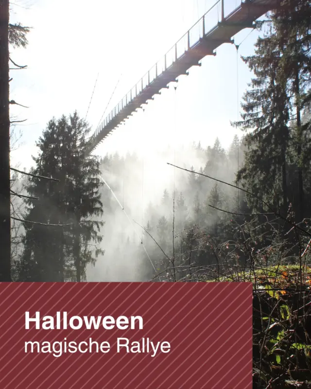 🎃 Etwas Magisches braut sich an der WILDLINE zusammen... 👀🌙

Seltsame Dinge geschehen derzeit rund um die WILDLINE. Im Wald wurden rätselhafte Spuren entdeckt, geheimnisvolle Hinweise tauchen auf und irgendetwas scheint aus dem Gleichgewicht geraten zu sein...

Schon bald könnt ihr euch auf eine ganz besondere Halloween-Rallye begeben. Doch Vorsicht: Um das Geheimnis zu lüften, braucht es Mut, einen scharfen Blick und echtes Entdeckergespür! 🔮✨

Was genau passiert ist? Das verraten wir noch nicht. Nur so viel: Auf euch wartet ein spannendes Abenteuer voller Rätsel, geheimnisvoller Geschichten und überraschender Begegnungen.

Seid gespannt und haltet die Augen offen. Die Halloween-Zeit an der WILDLINE wird dieses Jahr ganz besonders... 🎃🍂🌲

#WILDLINE #Halloween #HalloweenRallye #BadWildbad #Familienabenteuer #Rätselspaß #HerbstImSchwarzwald #AusflugMitKindern #GeheimnisImWald #BaldGehtsLos #Halloween2026