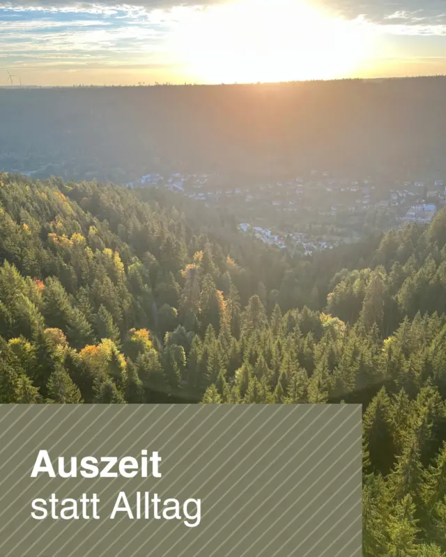 Manchmal braucht es nicht viel, um den Kopf frei zu bekommen: frische Luft, weite Ausblicke und einen Ort, an dem die Hektik des Alltags für einen Moment in den Hintergrund rückt.

An der WILDLINE erwartet dich genau das. Hoch über den Baumkronen eröffnen sich neue Perspektiven auf die Natur des Schwarzwaldes. Hier zählt nicht der nächste Termin, sondern der Augenblick. Statt Bildschirm wartet der Wald, statt Trubel die Ruhe der Natur und statt Alltag ein kleines Abenteuer.

Mach dich auf den Weg, lass den Stress hinter dir und gönn dir eine Auszeit zwischen Himmel, Wald und Weitblick. 🌿🌤️

#WILDLINE #BadWildbad #Schwarzwald #Auszeit #NaturErleben #AbenteuerZeit #RausInDieNatur #WaldStattBildschirm #RuheStattTrubel #HerbstImSchwarzwald #Ausflugsziel #Naturgenuss #Weitblick #GoldenerOktober