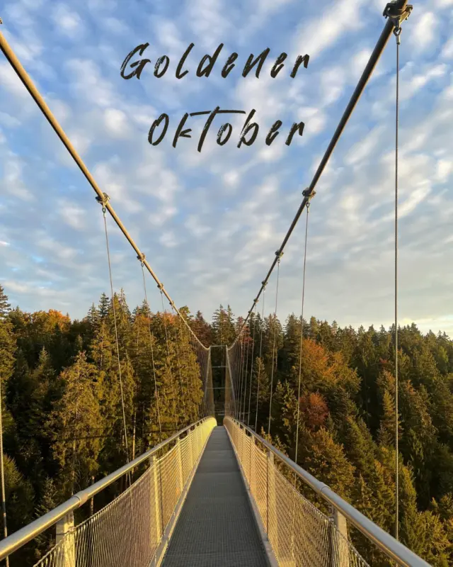 Bisher zeigt sich der Herbst von seiner schönsten Seite: strahlender Sonnenschein, blauer Himmel und bunt gefärbte Wälder, die den Schwarzwald in ein beeindruckendes Farbenmeer verwandeln. ✨

Und selbst wenn in den nächsten Tagen der Regen Einzug hält, bleibt die WILDLINE ein perfektes Ausflugsziel für alle, die den Herbst in seiner ganzen Vielfalt erleben möchten. Warm einpacken, feste Schuhe schnüren und hinaus in die Natur!

Entdecke den Herbstwald aus einer ganz besonderen Perspektive, halte Ausschau nach den ersten Pilzen am Wegesrand oder begegne mit etwas Glück dem einen oder anderen Waldbewohner. 🦌🍄

Ob bei Sonnenschein, Nebelschwaden oder herbstlicher Frische: Auf der WILDLINE erwartet dich die einzigartige Atmosphäre des Schwarzwalds, die Ruhe des Waldes und ein Ausblick, der zu jeder Jahreszeit begeistert.

📍 Dein Herbstmoment wartet auf der WILDLINE.

#WILDLINE #BadWildbad #GoldenerOktober #HerbstImSchwarzwald #Ausflugsziel #NaturErleben #Herbstzauber #SchwarzwaldLiebe #WandernImHerbst #RausInDieNatur 🍁🌲
